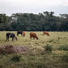 Casa Completa